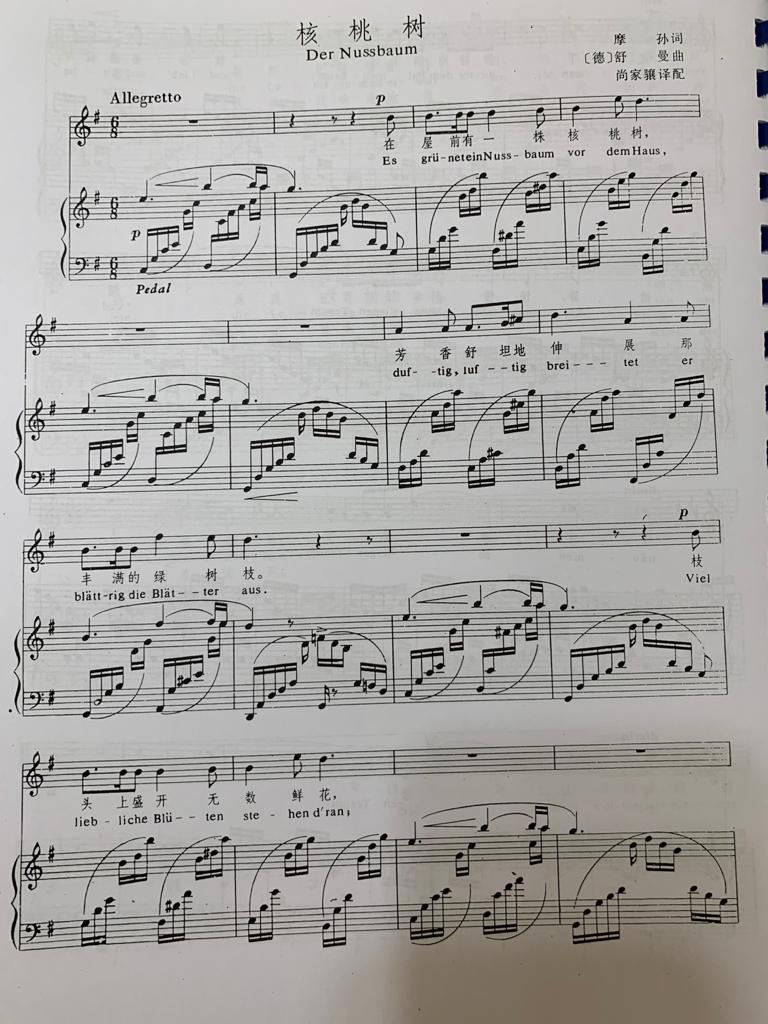 DerNussbaumScore
